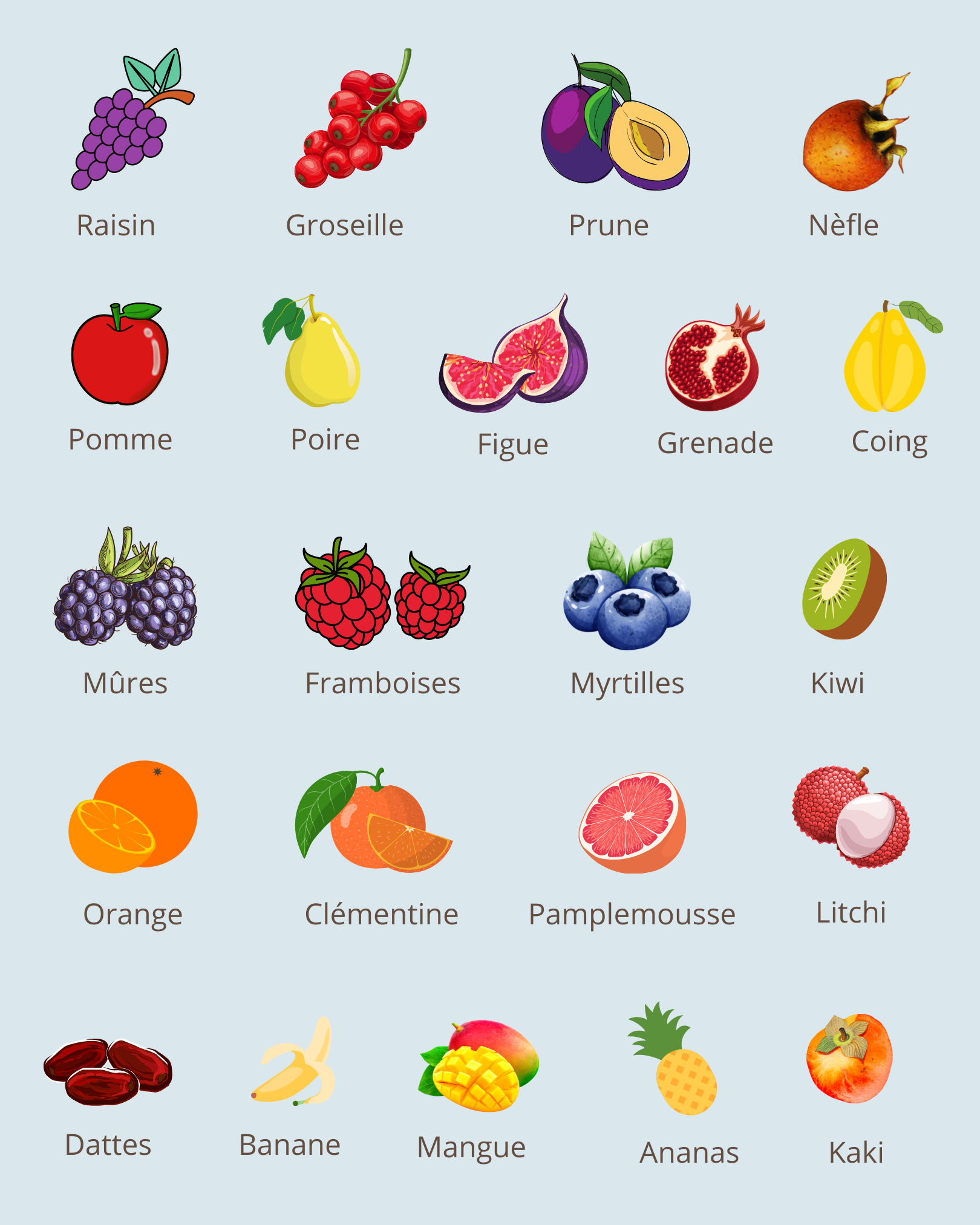 The list of Autumn and Winter fruits - Libshop