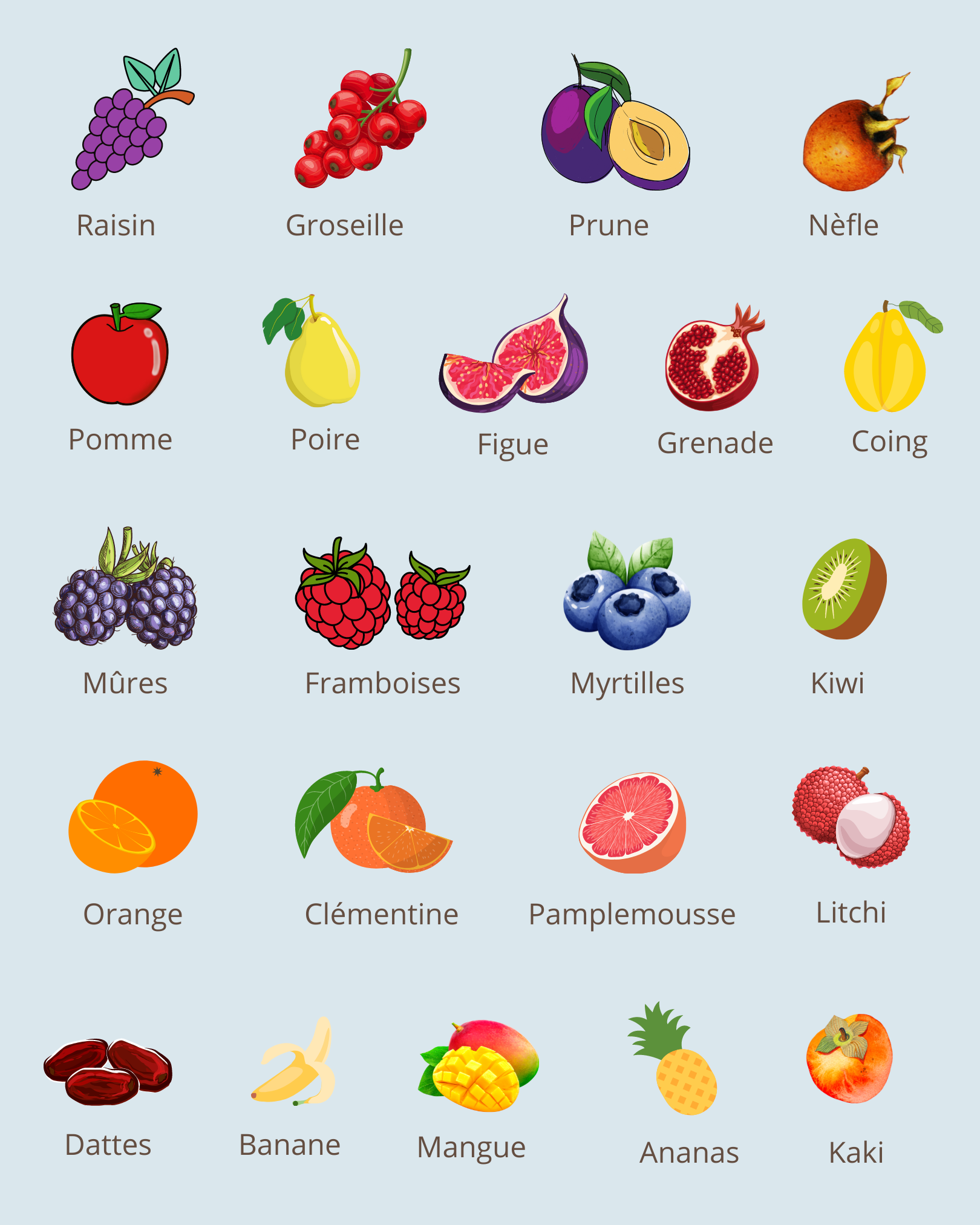 La liste des fruits et légumes d'Automne et d'Hiver - Libshop