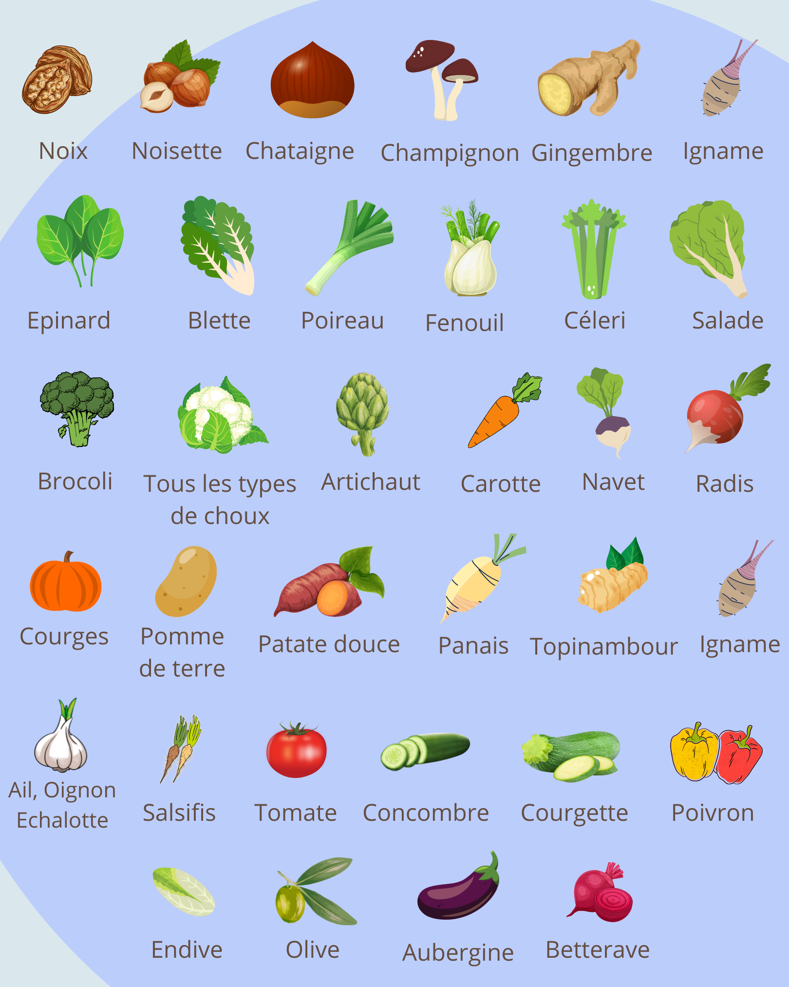 The list of autumn and winter fruits and vegetables - Libshop